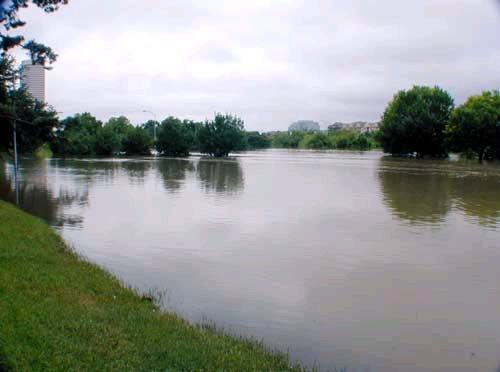 allen_parkway.jpg