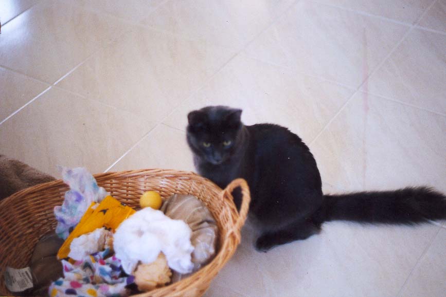Boris