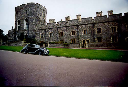windsor
