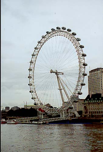Eye