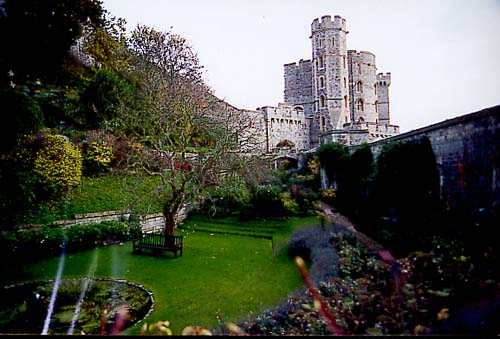 garden